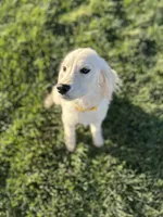 processed/2d9fdb4c-dce0-4b89-a62e-01d11e93396b/listing/a3000f95-749a-43d7-9bfe-6207e949a80c/89e47069-ddc9-4641-9d6f-be9ebb01742c