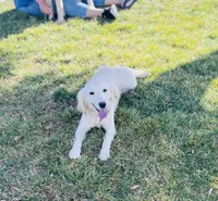 processed/2d9fdb4c-dce0-4b89-a62e-01d11e93396b/listing/a3000f95-749a-43d7-9bfe-6207e949a80c/8b268d52-9282-4102-b32a-06337c754f8d