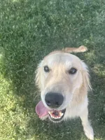 processed/2d9fdb4c-dce0-4b89-a62e-01d11e93396b/listing/a3000f95-749a-43d7-9bfe-6207e949a80c/94fc0f25-2a4f-4b60-87f5-46f6e04615cd