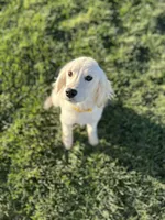 processed/2d9fdb4c-dce0-4b89-a62e-01d11e93396b/listing/a3000f95-749a-43d7-9bfe-6207e949a80c/acf39535-a559-4d06-bb98-0866173db5ef