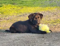 processed/2dab354a-c5a8-419a-a546-8846663203f9/listing/9935ea2e-db1d-4c5c-8528-bb142cbf110c/50b6520a-24b2-4447-bffc-c605b2bdf3dc