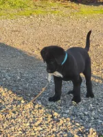 processed/2dab354a-c5a8-419a-a546-8846663203f9/listing/9935ea2e-db1d-4c5c-8528-bb142cbf110c/7a25972d-43dd-4c72-8211-a9cde3d72dbb