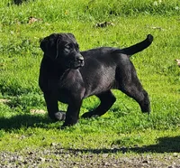 processed/2dab354a-c5a8-419a-a546-8846663203f9/listing/9935ea2e-db1d-4c5c-8528-bb142cbf110c/9edcd4e0-5f0c-40ea-9bb5-21ec419d1d67