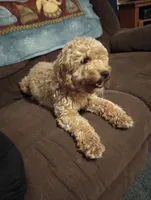 processed/2db0eb3d-5d75-4ff2-9f23-92ca695f46cb/listing/5f86126d-ab74-4516-ad3d-d3dc7eb8153d/07c3a80a-52ff-487b-80e0-bfff707a83b1