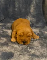 processed/2db0eb3d-5d75-4ff2-9f23-92ca695f46cb/listing/5f86126d-ab74-4516-ad3d-d3dc7eb8153d/0edb71d5-ac2d-421c-b30b-fa878f068e39