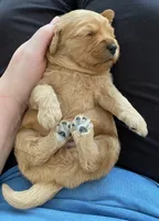 processed/2db0eb3d-5d75-4ff2-9f23-92ca695f46cb/listing/5f86126d-ab74-4516-ad3d-d3dc7eb8153d/b530fa96-2f18-458f-9309-50a2054d5080