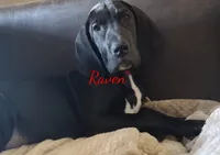 processed/2dbccdee-fd16-4c01-a4bf-ecbb6666c88a/listing/3be43928-c9b7-4218-8d61-925e0df43d39/2d521f04-d9db-4533-95c3-95a93411dff8