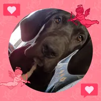 processed/2dbccdee-fd16-4c01-a4bf-ecbb6666c88a/listing/3be43928-c9b7-4218-8d61-925e0df43d39/448ad8f9-1e0b-405a-9886-553aa380c5cf