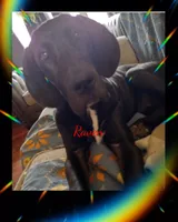 processed/2dbccdee-fd16-4c01-a4bf-ecbb6666c88a/listing/3be43928-c9b7-4218-8d61-925e0df43d39/6d9f1b4f-a11a-44f6-8e6d-399484f5d4b3