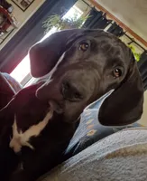 processed/2dbccdee-fd16-4c01-a4bf-ecbb6666c88a/listing/3be43928-c9b7-4218-8d61-925e0df43d39/83f17ec6-b651-4f8d-93be-ecd0c774e781