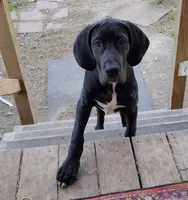 processed/2dbccdee-fd16-4c01-a4bf-ecbb6666c88a/listing/3be43928-c9b7-4218-8d61-925e0df43d39/a0aac857-9118-46a3-b1fd-4f1466371f0c