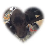 processed/2dbccdee-fd16-4c01-a4bf-ecbb6666c88a/listing/3be43928-c9b7-4218-8d61-925e0df43d39/da0bd295-009d-4609-ae51-c3e4436a8cba