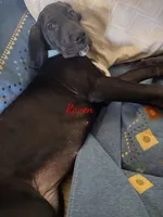 processed/2dbccdee-fd16-4c01-a4bf-ecbb6666c88a/listing/3be43928-c9b7-4218-8d61-925e0df43d39/f987a72b-cba7-46f5-8aa6-442a3daefecd