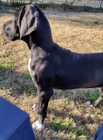 processed/2dbccdee-fd16-4c01-a4bf-ecbb6666c88a/listing/451b41ca-6a96-462e-9fd8-f2fbe9e845e5/0e0e3b69-f4ce-42e6-b415-88bb37eb8077