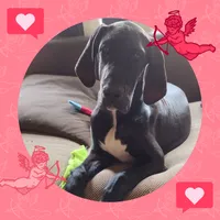 processed/2dbccdee-fd16-4c01-a4bf-ecbb6666c88a/listing/451b41ca-6a96-462e-9fd8-f2fbe9e845e5/2fcfc6b6-9d2d-49fc-88b1-e90c84c0be98