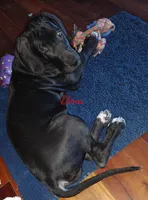 processed/2dbccdee-fd16-4c01-a4bf-ecbb6666c88a/listing/451b41ca-6a96-462e-9fd8-f2fbe9e845e5/8901c857-8e16-452d-bab6-e49555464cd1