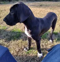 processed/2dbccdee-fd16-4c01-a4bf-ecbb6666c88a/listing/451b41ca-6a96-462e-9fd8-f2fbe9e845e5/ef240140-76b0-4f44-a441-d2de1e23558e