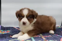 processed/2dc0438c-3b69-442b-a7fd-f398438cf265/listing/2e7d7eee-3e15-42f7-a315-ad34b2e97b32/279b558d-e723-46f1-b0bc-841dad7a27ed