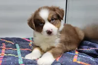 processed/2dc0438c-3b69-442b-a7fd-f398438cf265/listing/2e7d7eee-3e15-42f7-a315-ad34b2e97b32/3b61b114-6d25-40f3-ae86-25a4da51536e