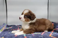 processed/2dc0438c-3b69-442b-a7fd-f398438cf265/listing/2e7d7eee-3e15-42f7-a315-ad34b2e97b32/3eb79635-c870-417c-9926-0b47b6fd3644