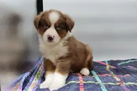 processed/2dc0438c-3b69-442b-a7fd-f398438cf265/listing/2e7d7eee-3e15-42f7-a315-ad34b2e97b32/dab83374-ec40-4c93-83f0-31140629e090