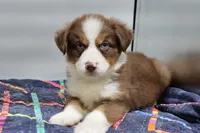 processed/2dc0438c-3b69-442b-a7fd-f398438cf265/listing/2e7d7eee-3e15-42f7-a315-ad34b2e97b32/ffe389cd-cb0d-4327-8bde-f9b4e056edbf