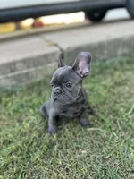 processed/2dc0438c-3b69-442b-a7fd-f398438cf265/listing/3158ef8d-7a6d-46f3-9f98-2c3b93364ae2/2ac8a2f1-db6a-44db-8d90-33aeaa6332e1