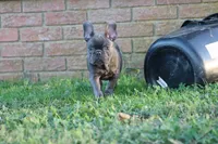 processed/2dc0438c-3b69-442b-a7fd-f398438cf265/listing/3158ef8d-7a6d-46f3-9f98-2c3b93364ae2/398da5d7-6f98-45c5-97ec-3b181fd972a6