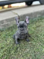 processed/2dc0438c-3b69-442b-a7fd-f398438cf265/listing/3158ef8d-7a6d-46f3-9f98-2c3b93364ae2/4479ec58-bc4a-43ef-bee9-908071226e87