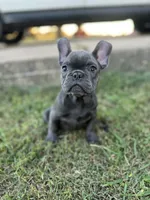 processed/2dc0438c-3b69-442b-a7fd-f398438cf265/listing/3158ef8d-7a6d-46f3-9f98-2c3b93364ae2/9979ff41-710b-4f7d-a5eb-aa894bacf6b3