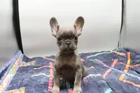 processed/2dc0438c-3b69-442b-a7fd-f398438cf265/listing/466ca0cf-a734-4b4e-9a09-02b91704ae98/76e18a6b-0dfb-434c-bd1f-28b9da05ccca