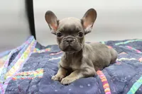 processed/2dc0438c-3b69-442b-a7fd-f398438cf265/listing/466ca0cf-a734-4b4e-9a09-02b91704ae98/83c604d4-460b-48b0-994e-99a173bee1cb