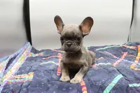 processed/2dc0438c-3b69-442b-a7fd-f398438cf265/listing/466ca0cf-a734-4b4e-9a09-02b91704ae98/c4285163-3ffa-4ea7-88e6-8228ef0b28ff