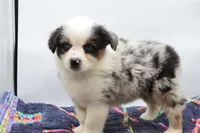 processed/2dc0438c-3b69-442b-a7fd-f398438cf265/listing/712ab373-2c1c-4186-9894-17aa4ba07a75/13063121-0738-4ca8-ae6e-56d274be0403