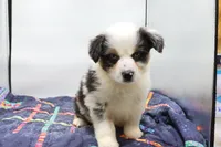 processed/2dc0438c-3b69-442b-a7fd-f398438cf265/listing/712ab373-2c1c-4186-9894-17aa4ba07a75/32fd5192-365d-4641-844a-5b178c248b9e