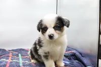 processed/2dc0438c-3b69-442b-a7fd-f398438cf265/listing/712ab373-2c1c-4186-9894-17aa4ba07a75/44b5053d-cdae-4280-9634-b7a40ebc0f47