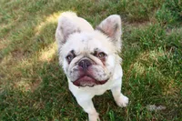 processed/2dc0438c-3b69-442b-a7fd-f398438cf265/listing/7831b987-9951-4b2a-b136-b6904d542bae/1ecbf195-4dda-4018-9e4e-83f579abfc34