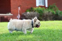 processed/2dc0438c-3b69-442b-a7fd-f398438cf265/listing/7831b987-9951-4b2a-b136-b6904d542bae/5b77c6f3-b928-4245-b6fb-0c5e35030166