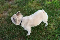 processed/2dc0438c-3b69-442b-a7fd-f398438cf265/listing/7831b987-9951-4b2a-b136-b6904d542bae/71e63883-9377-4389-9693-0cbdad7c1002