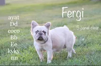 processed/2dc0438c-3b69-442b-a7fd-f398438cf265/listing/7831b987-9951-4b2a-b136-b6904d542bae/9f780836-80fd-46b6-896d-994966a9aaed