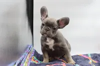 processed/2dc0438c-3b69-442b-a7fd-f398438cf265/listing/f92905c6-3ff6-4305-a8f5-98010df4e516/36b3e9f9-3386-4898-b717-d4c33d565b45