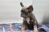 processed/2dc0438c-3b69-442b-a7fd-f398438cf265/listing/f92905c6-3ff6-4305-a8f5-98010df4e516/71f46456-ddca-4588-a360-0b8683f1e9b0