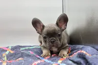 processed/2dc0438c-3b69-442b-a7fd-f398438cf265/listing/f92905c6-3ff6-4305-a8f5-98010df4e516/836d75eb-db91-412f-88df-bc6b7925c91a