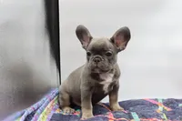 processed/2dc0438c-3b69-442b-a7fd-f398438cf265/listing/f92905c6-3ff6-4305-a8f5-98010df4e516/b02e7a9a-ba2f-4eac-85d8-199758b0d2c6