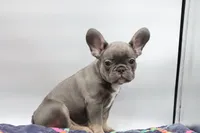 processed/2dc0438c-3b69-442b-a7fd-f398438cf265/listing/f92905c6-3ff6-4305-a8f5-98010df4e516/c26a37ba-3aa1-478f-9a30-e65dd8b852ed