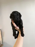 processed/2dc1b0c9-308d-4db5-b36d-f6cad630824d/listing/99e9fc72-3526-4df9-9afa-b4fa439639b5/d304975c-ec60-4a67-9f84-06575b406c15