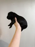 processed/2dc1b0c9-308d-4db5-b36d-f6cad630824d/listing/c8bf1f61-00ec-43f7-a84d-2b0379fbd20f/2cfb9c33-882b-40d8-b1a5-a4a24386e6f3