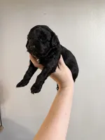 processed/2dc1b0c9-308d-4db5-b36d-f6cad630824d/listing/c8bf1f61-00ec-43f7-a84d-2b0379fbd20f/f05c3c12-16cc-475e-bb0e-14702d788aae