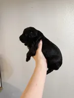 processed/2dc1b0c9-308d-4db5-b36d-f6cad630824d/listing/f026e1b5-21db-4808-88f8-52585777c513/eb480269-f6e5-4935-993c-dedeadd2379a