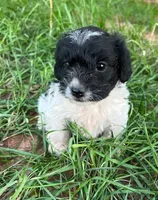 processed/2dc603bc-3d2b-44a6-bae2-e58664bd6025/listing/510990a6-f256-4b62-b9d7-b844ddc20f1f/147b0ddf-7a2f-4336-8627-21934a09096e